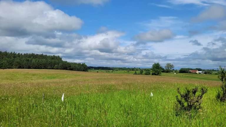 Atrakcje w Kruklankach - odkryj ukryte skarby Mazur i aktywności